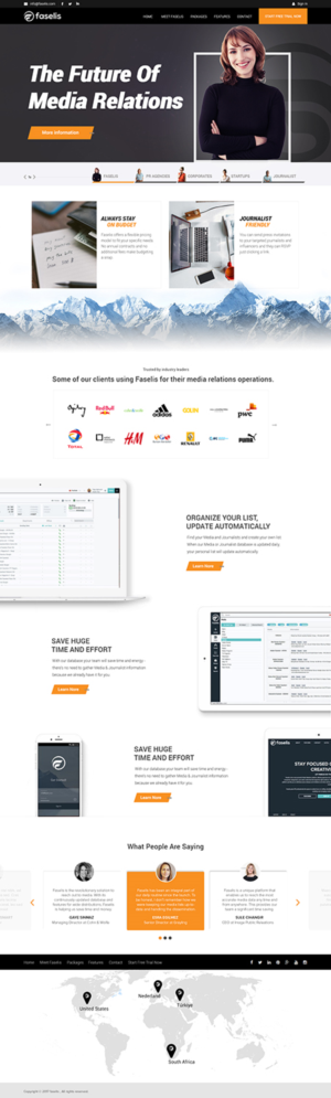 Web Design by e2developers for Faselis Veri Teknolojileri A.S. | Design #13997400