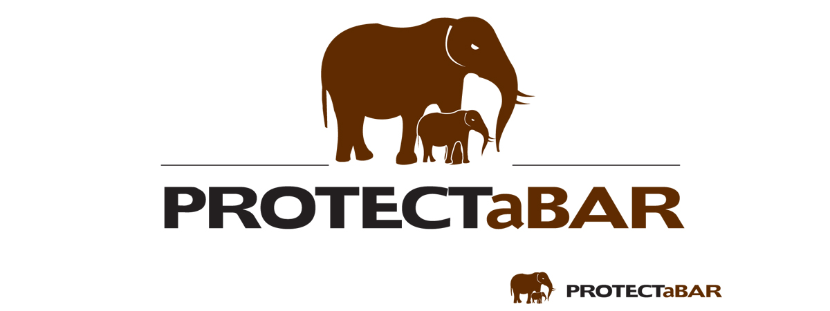 Logo Design by Elkana Letting for this project | Design #2492860