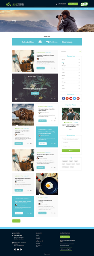 GreenMaids - Green cleaning service blog design | Web Design by Ved Web Services