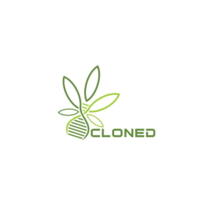 Logo-Design von creative.bugs für dieses Projekt | Design: #13928364