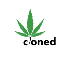 Logo Design by j.pavasaryte