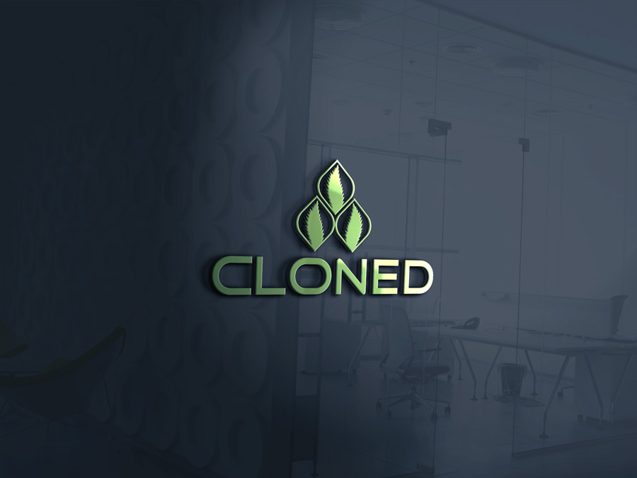 Logo Design by aic design for this project | Design #13942317