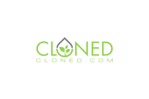Logo-Design von NOREEN MAX für dieses Projekt | Design: #14147050