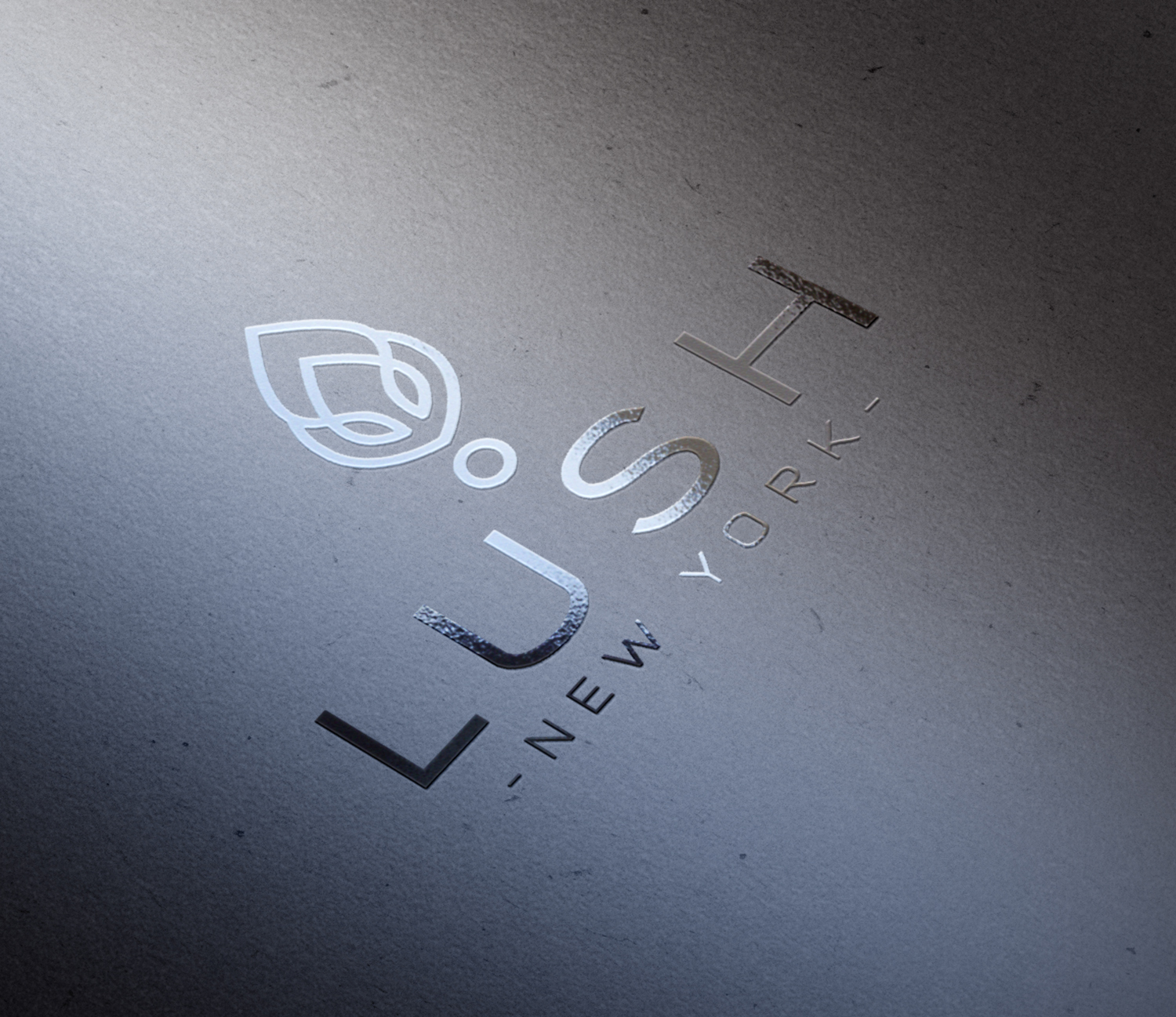 Packaging Design by SofiaDesignStudio for Lush NY | Design #13962875