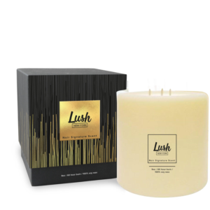Diseño de Empaque por Sofya Obozkurt para Lush NY | Diseño #14009700