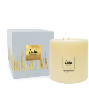 Packaging Design by Sofya Obozkurt for Lush NY | Design: #14019686