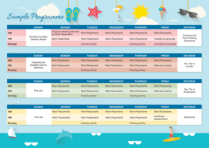 Flyer Design by DesignFive for The Blue Penguin Company Ltd | Design: #13934053