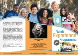 Flyer Design by Impressive Solutions for The Blue Penguin Company Ltd | Design: #13937773