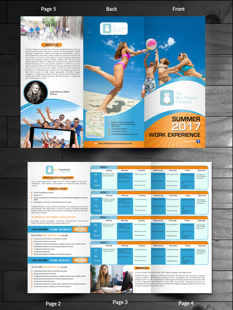 Flyer Design by innovative earth for The Blue Penguin Company Ltd | Design #13926109