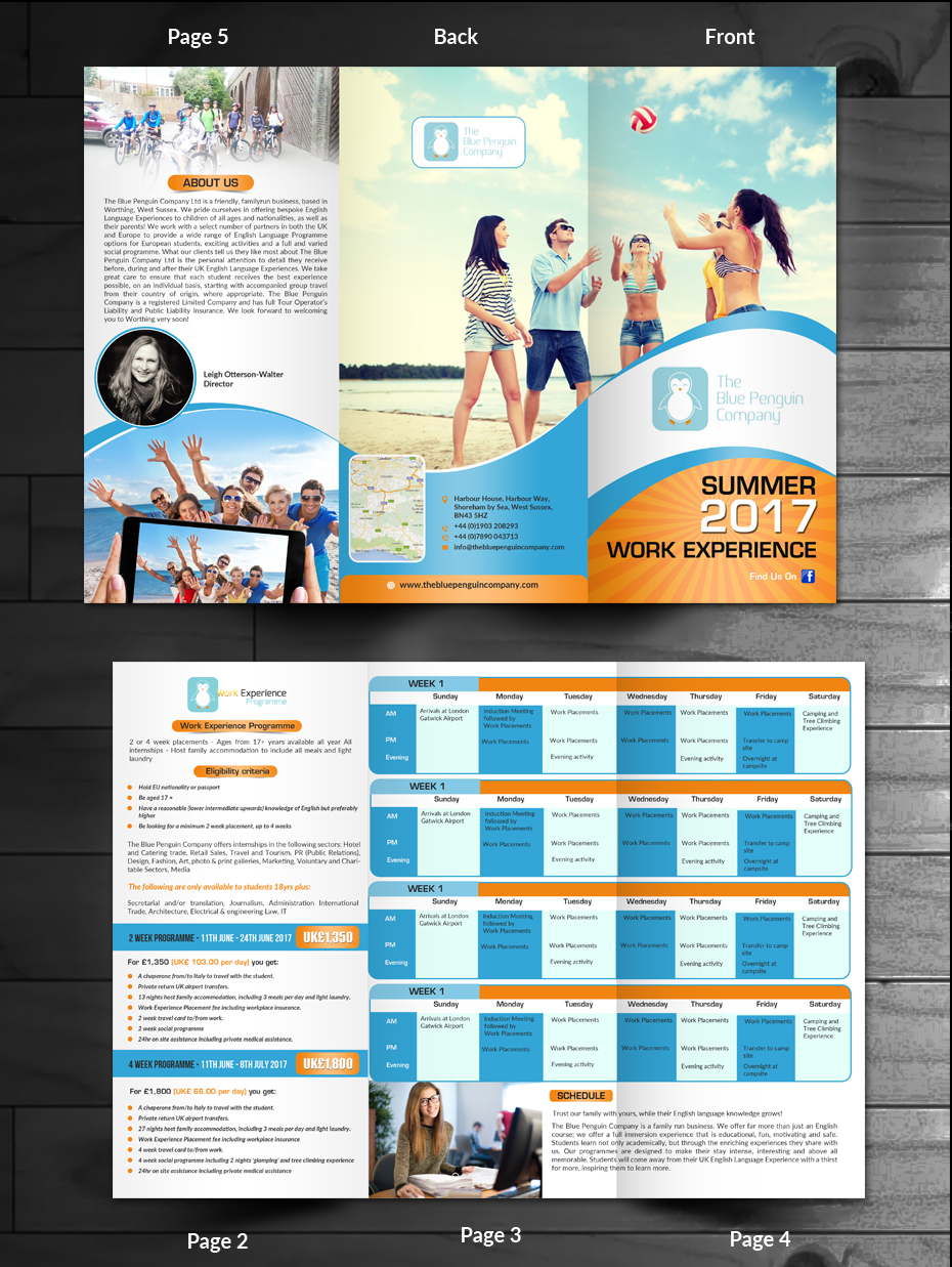 Flyer Design by innovative earth for The Blue Penguin Company Ltd | Design #13926110