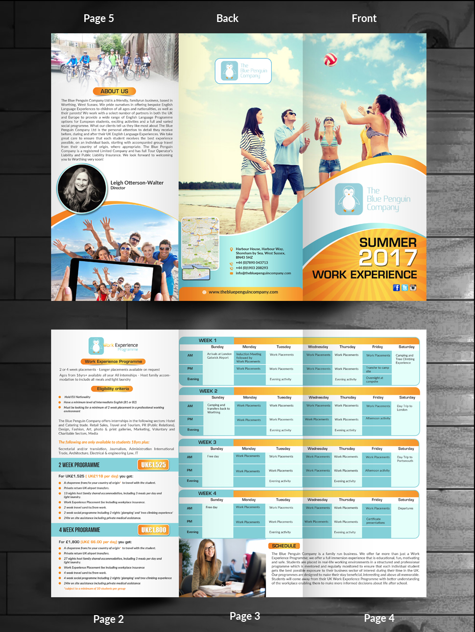 Flyer Design by innovative earth for The Blue Penguin Company Ltd | Design #13963599