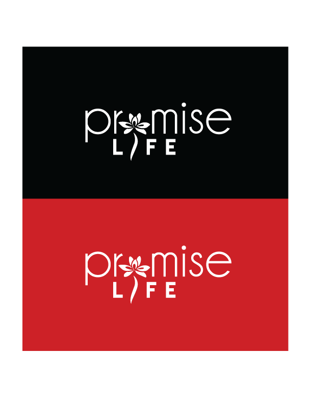 Diseño de Logo por Logicspider para este proyecto | Diseño #13928544