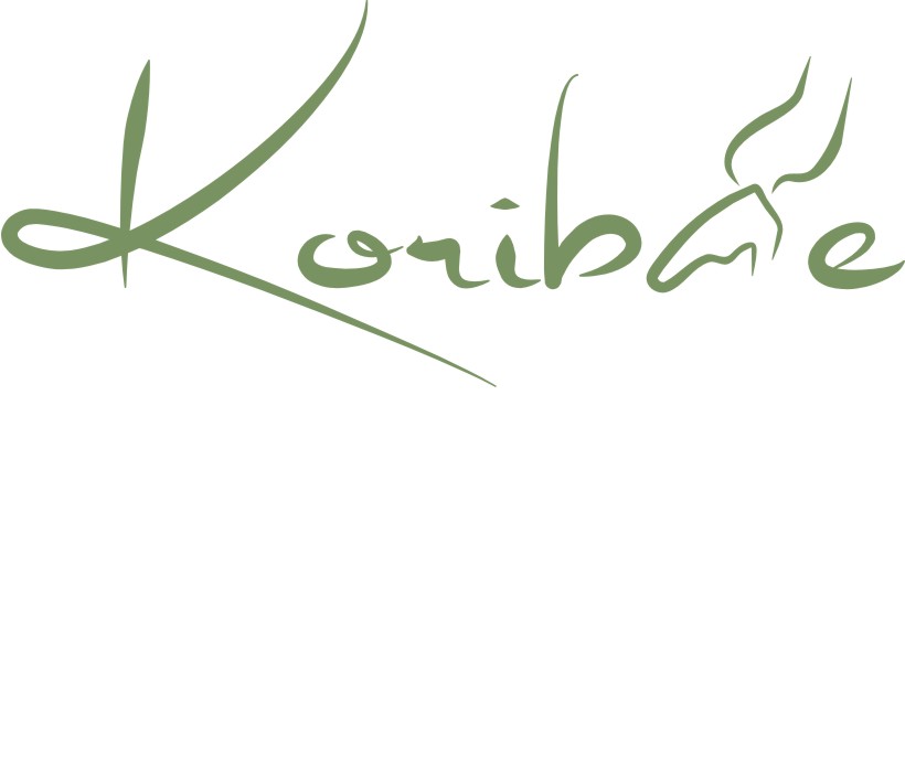 Diseño de Logo por Falguni para Project antelope | Diseño #14104948