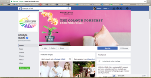 Facebook-Design von BRANDTASH für Step by Step Painting and Remodeling  | Design #14043031