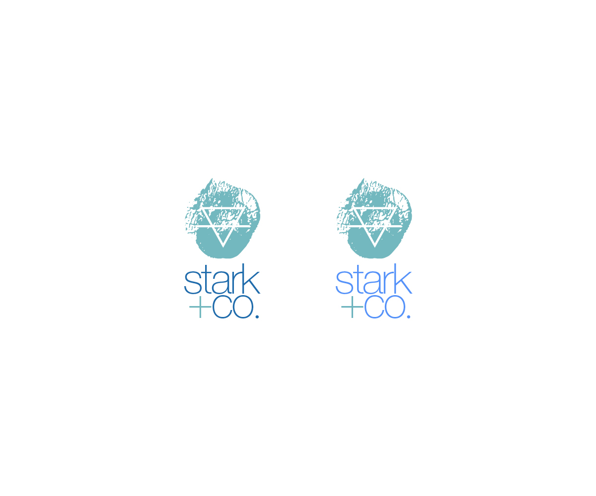 Logo Design by Bittersweet for Stark + Co.  | Design #14212020