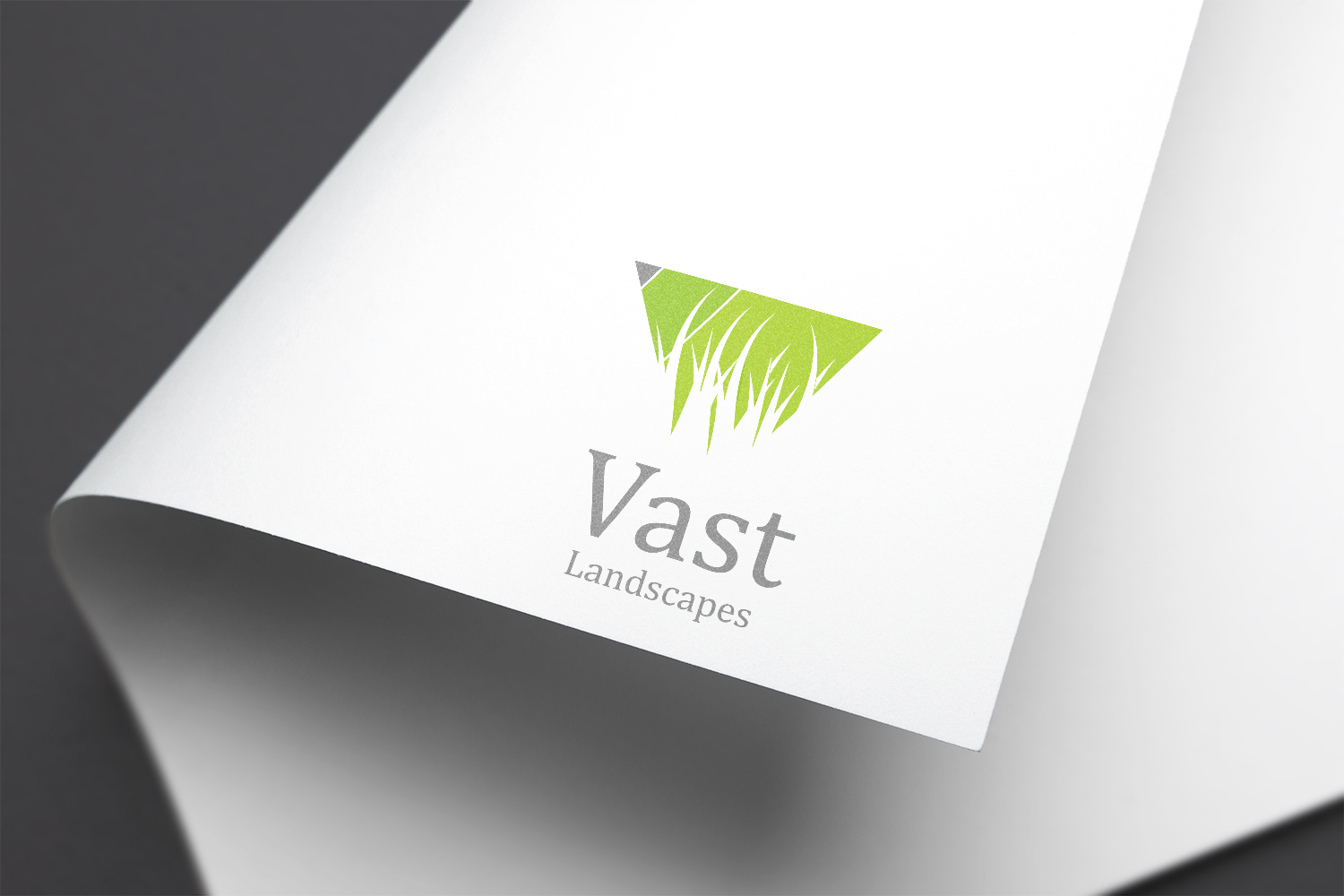 Logo Design by B+ for this project | Design #13959653