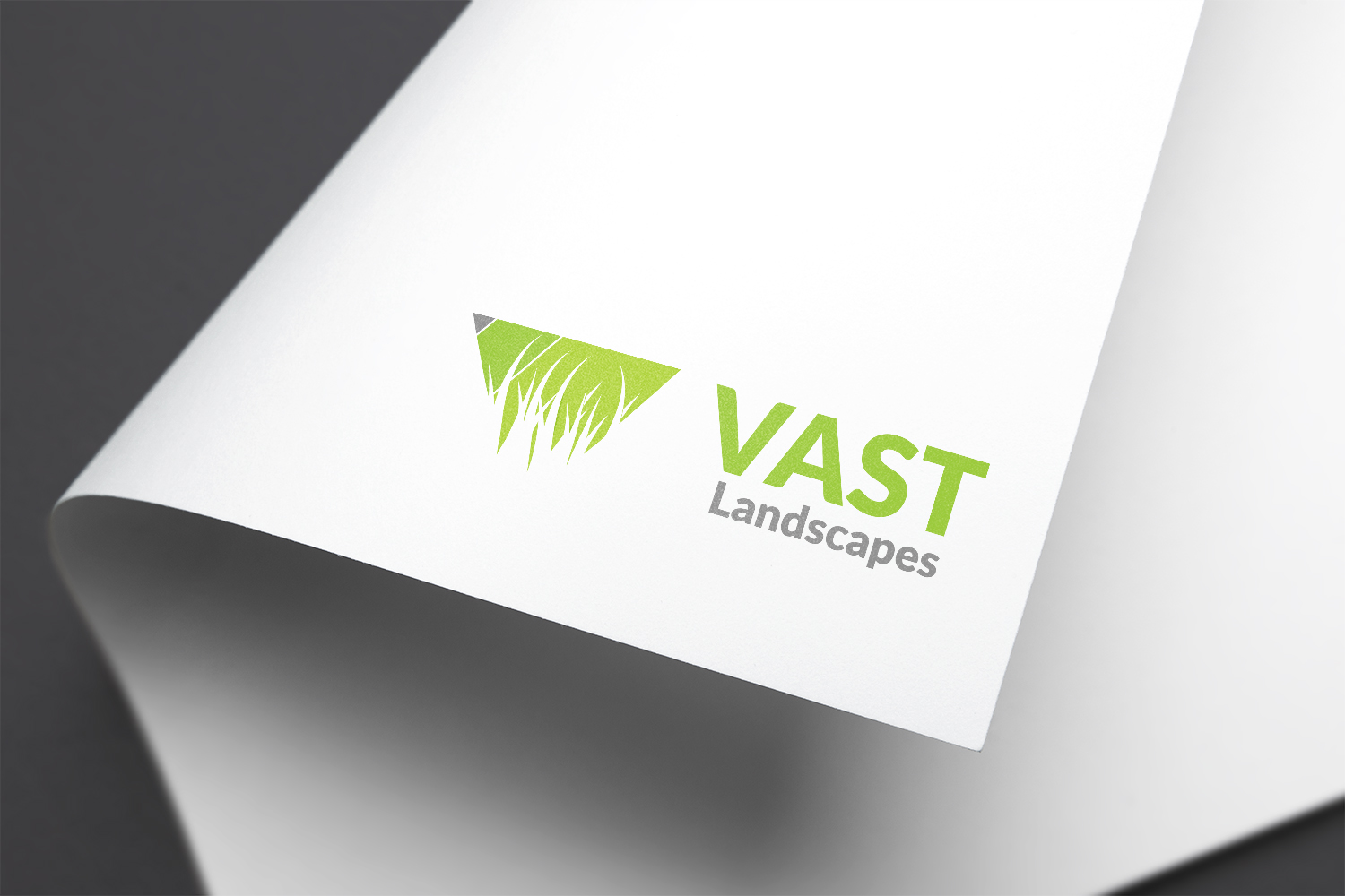 Logo Design by B+ for this project | Design #13971056