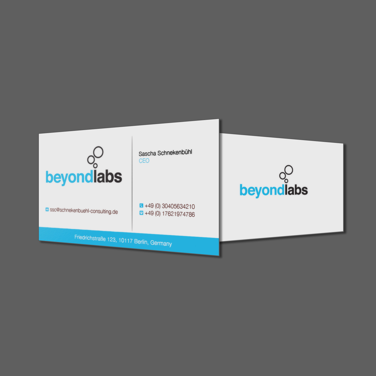 Business Card Design by Lanka Ama for schnekenbühl consulting | Design #13940751
