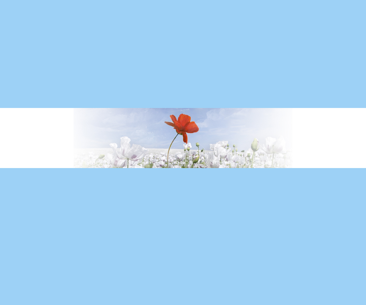 Graphic Design by raph for this project | Design #2494464