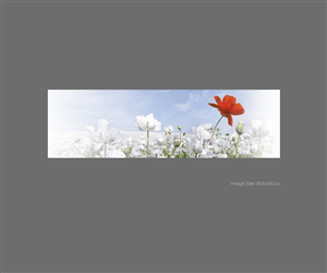 Graphic Design by raph for this project | Design: #2499227