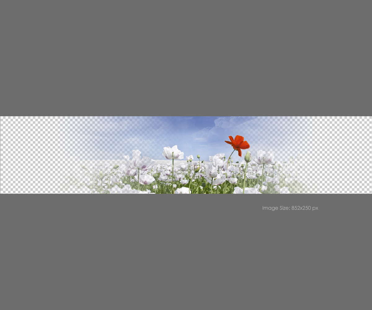 Graphic Design by raph for this project | Design #2508653