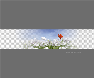 Graphic Design by raph for this project | Design: #2508653