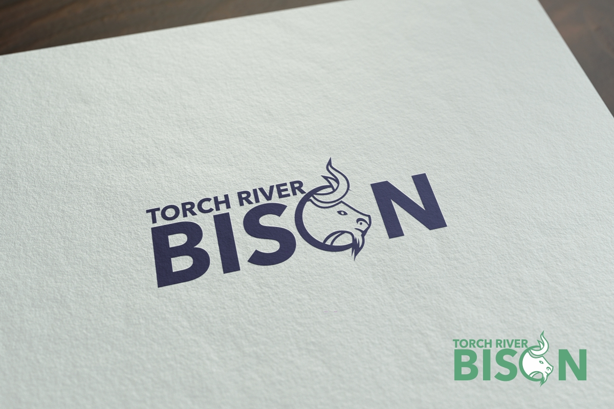 Logo-Design von cb1318 für Torch River Bison | Design #14208315