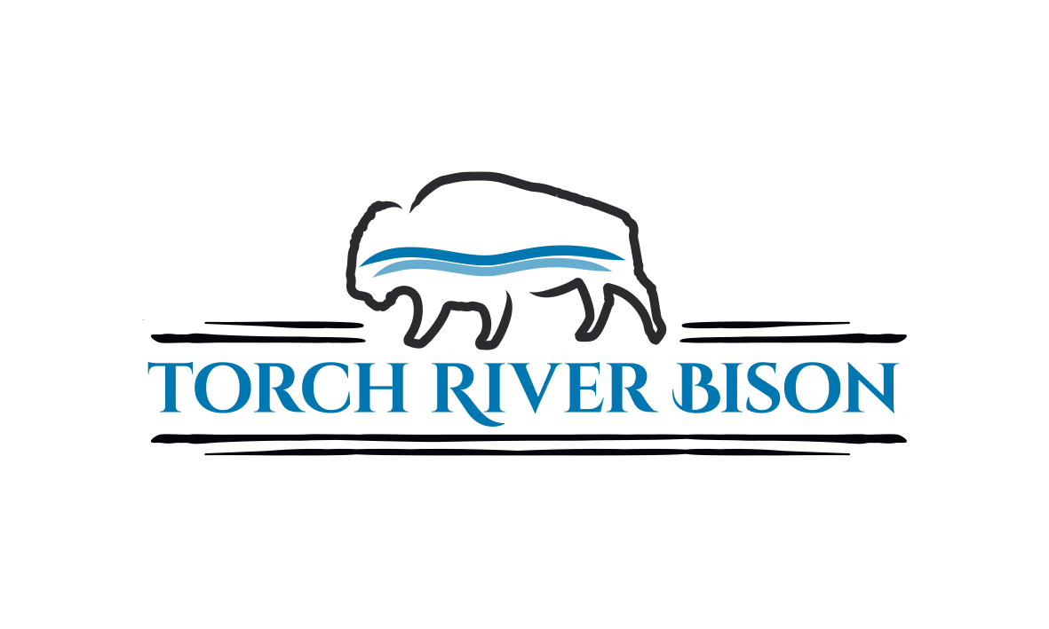 Logo Design by trufya for Torch River Bison | Design #14164223