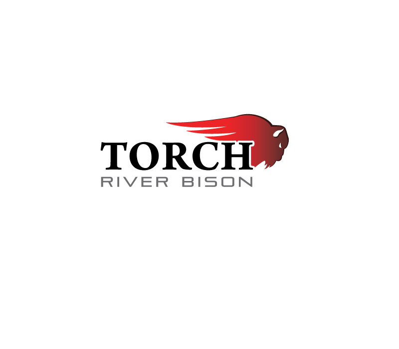 Logo Design by instudio for Torch River Bison | Design #14015750