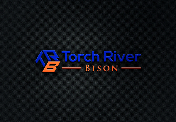 Diseño de Logo por EGYPT KING para Torch River Bison | Diseño #13993386