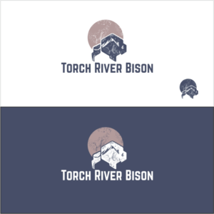 Logo Design by torodes77 for Torch River Bison | Design: #14050067