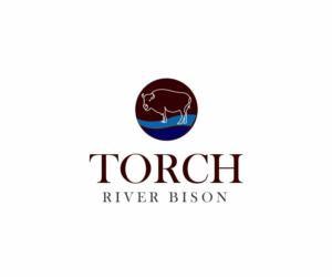 Logo Design by BlueCotton