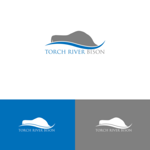 Logo Design by DesignDUO for Torch River Bison | Design: #14156502