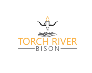 Logo Design by Top king  designer for Torch River Bison | Design: #13975442