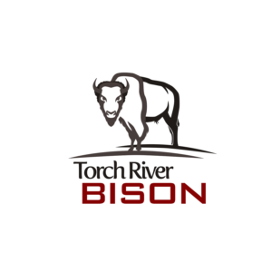 Logo Design by beaudesign for Torch River Bison | Design #13969443