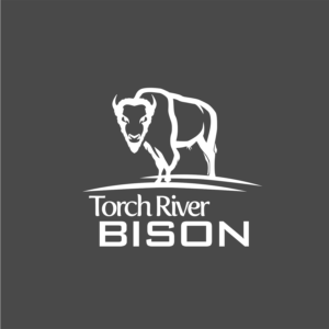 Logo Design by beaudesign for Torch River Bison | Design: #13969449