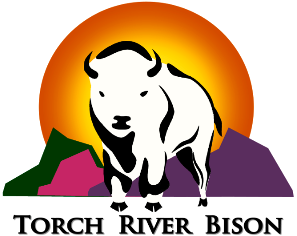 Logo Design by paperhouse for Torch River Bison | Design #14163444