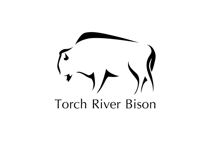 Logo-Design von bc21 für Torch River Bison | Design #14133647