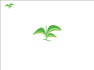 Logo Design by CLUSTER CREATIONS