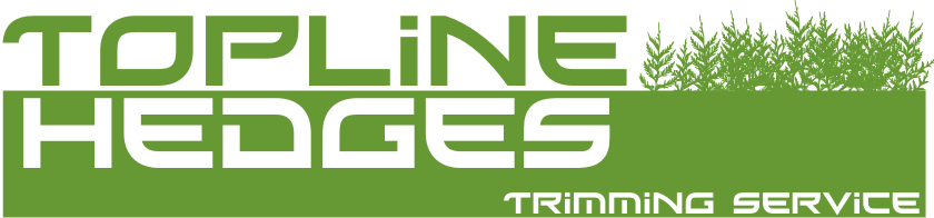 Logo Design by ChrisMoon for this project | Design #14001152