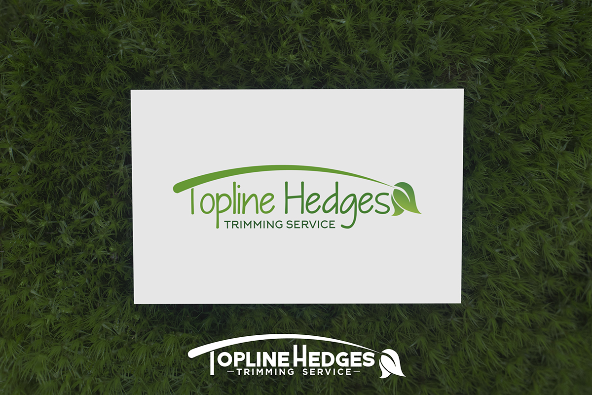 Logo Design by Marco Rubio for this project | Design #13996377