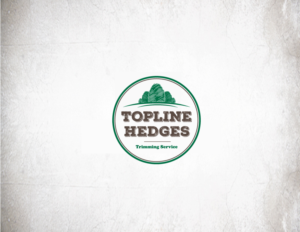 Design de Logo par costur