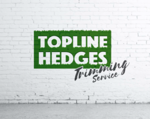 Logo Design by JTdsign for this project | Design: #13995535