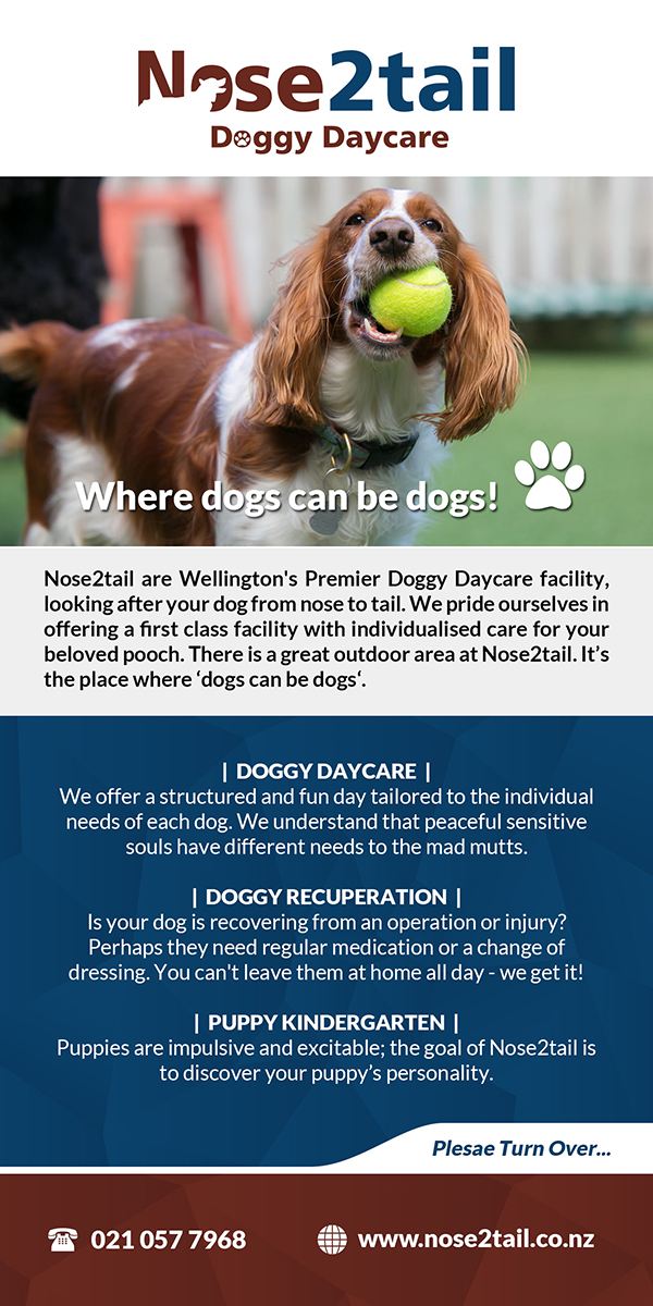 Design de Flyer par VEGA-Designs pour ce projet | Design #13963298