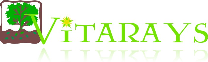 Design de Logo par Poh pour VITARAYS Limited | Design #554702