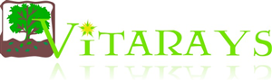 Logo Design by Poh