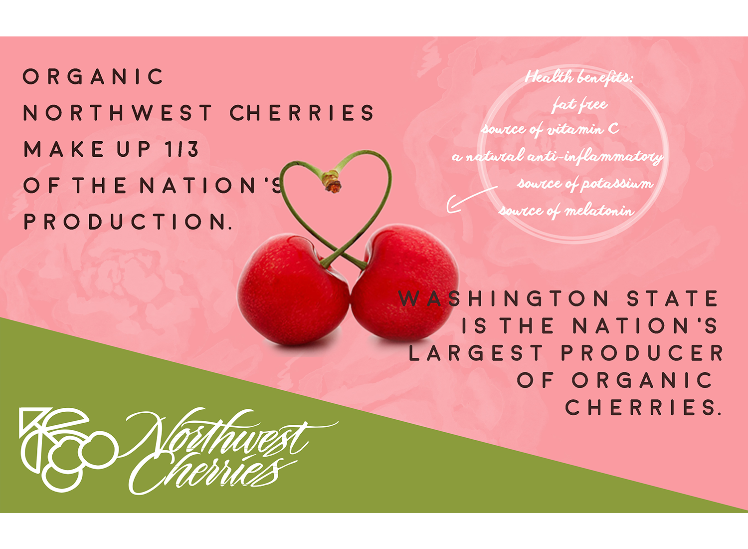 Flyer-Design von CatEyesStudio für Washington State Fruit Commission | Design #13994870