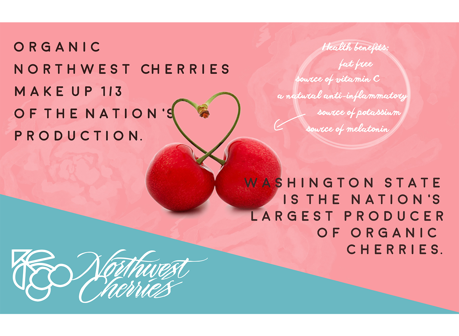 Diseño de Flyer por CatEyesStudio para Washington State Fruit Commission | Diseño #13994871