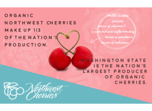 Flyer Design by CatEyesStudio for Washington State Fruit Commission | Design: #13994871