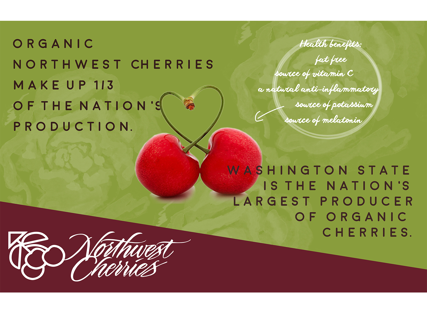 Flyer Design by CatEyesStudio for Washington State Fruit Commission | Design #13995024